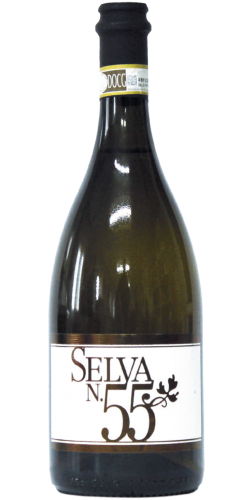 Selva55